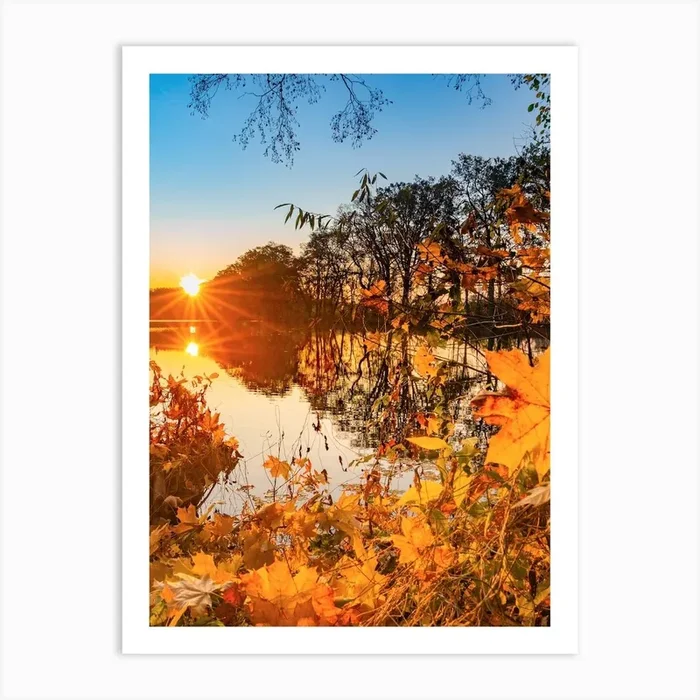 Sunset on lake water with tree at fall season Art Print by imagine