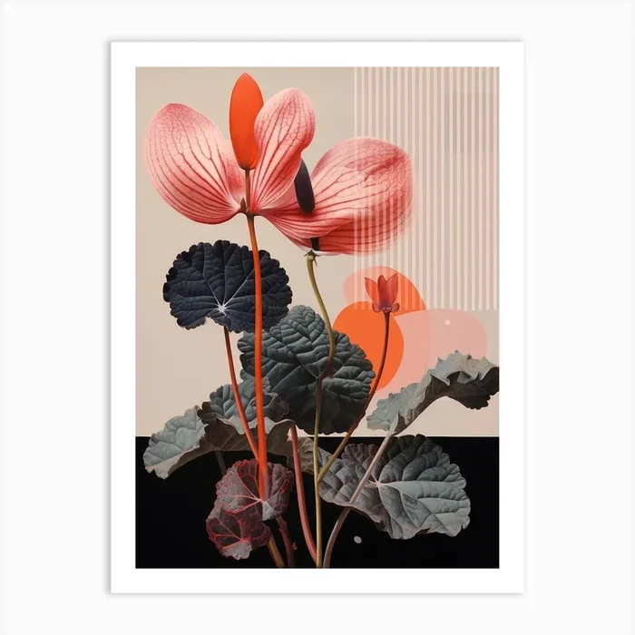 Surreal Florals Cyclamen 3 Flower Painting Art Print by Botanic Studio