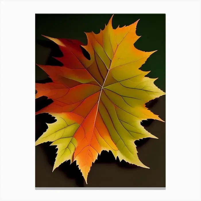 Sweet Gum Leaf Vibrant Inspired Canvas PrintL& by Leaf & Stem Studio