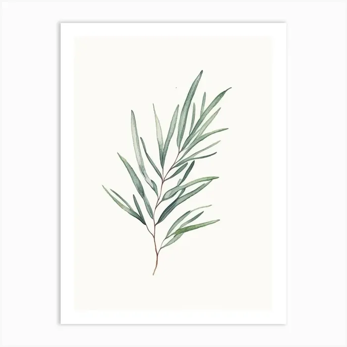 Tarragon Leaf Minimalist Watercolour Art PrintL& by Leaf & Stem Studio