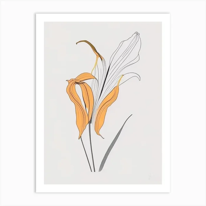 Tiger Lily Floral Minimal Line Drawing 3 Flower Art Print by The Artsy Florist