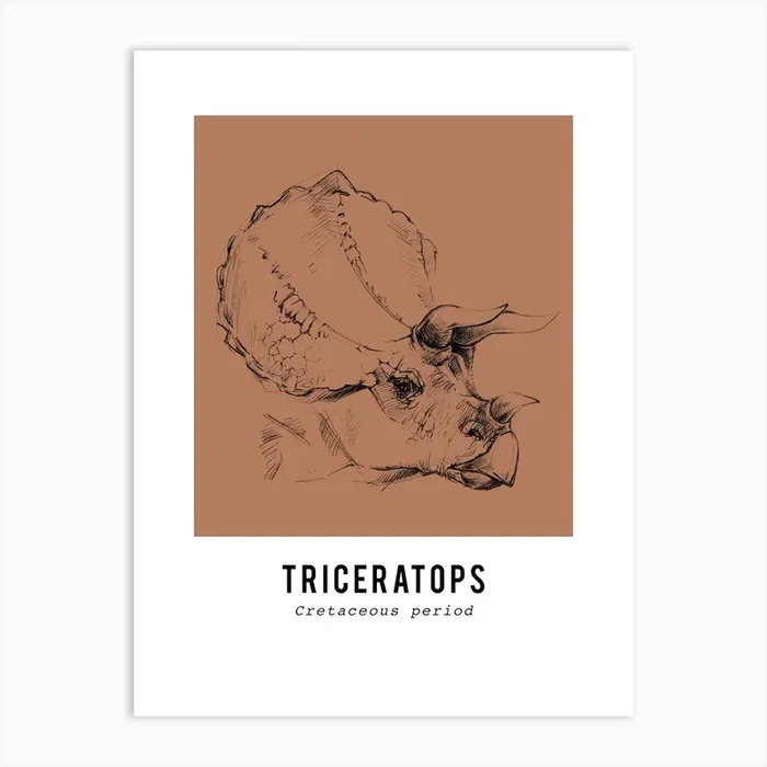 Triceratops Drawing, Dinosaur Boys Room Decor Art Print by Piccalilli Prints