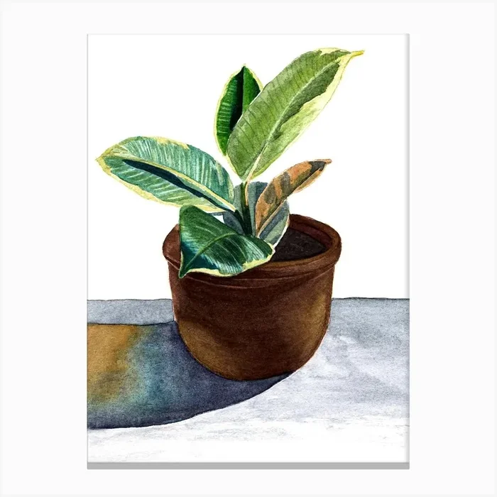 Tropical plant in pot Canvas Print by LauRoxan