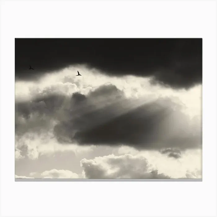 Two Canvas Print by Tal Paz-Fridman