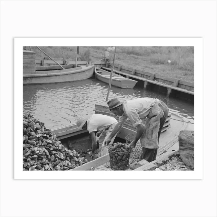 Untitled Photo, Possibly Related To Dumping Oysters Into Sacks From Wire Baskets, Olga, Louisiana By Russell Lee Art Print by Fy! Classic Art Prints and Posters