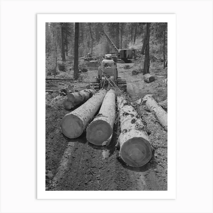 Untitled Photo, Possibly Related To Grant County, Oregon, Malheur National Forest , Diesel Caterpillar Tractor Snakin Art Print by Fy! Classic Art Prints and Posters