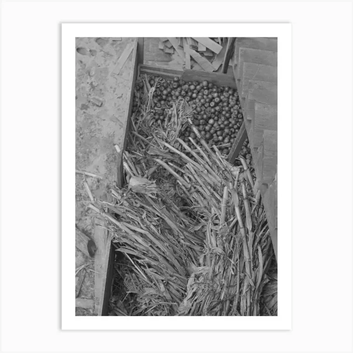 Untitled Photo, Possibly Related To Old Gristmill On Road To Skyline Drive, Virginia By Russell Lee Art Print by Fy! Classic Art Prints and Posters