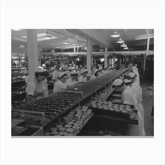 Untitled Photo, Possibly Related To Packing Tuna Into Cans, Columbia River Packing Association, Astoria, Oregon Canvas Print by Fy! Classic Art Prints and Posters