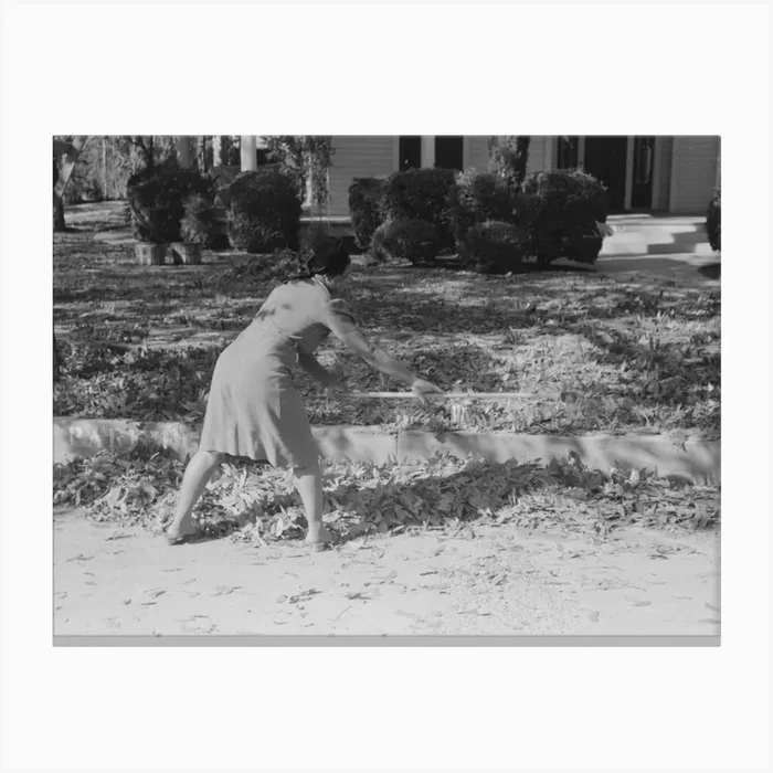 Untitled Photo, Possibly Related To Picking Up Pecans From Ground, San Angelo, Texas By Russell Lee Canvas Print by Fy! Classic Art Prints and Posters