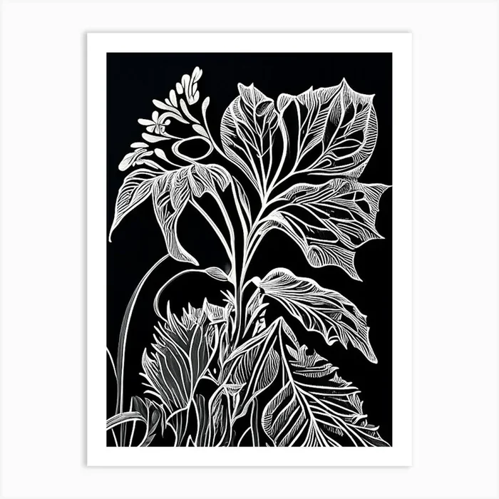 Valerian Leaf Linocut 2 Art PrintL& by Leaf & Stem Studio