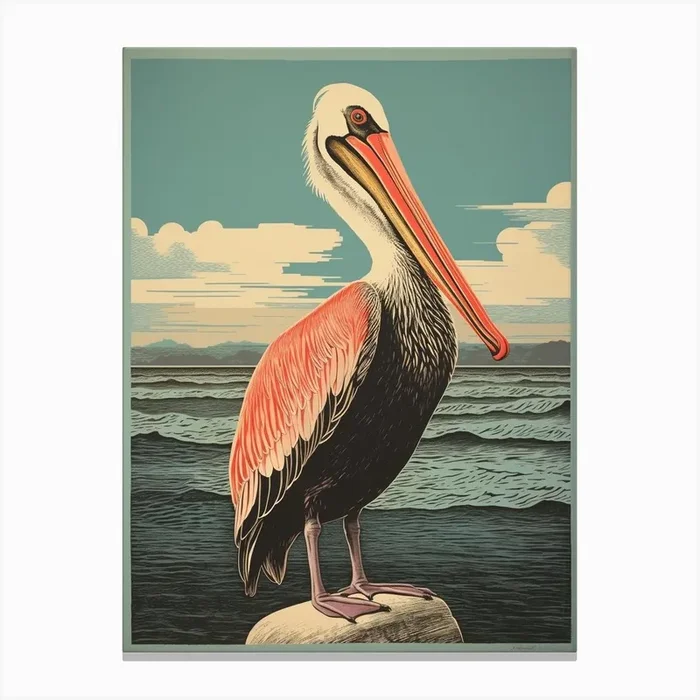 Vintage Bird Linocut Pelican 1 Canvas Print by Feathered Muse