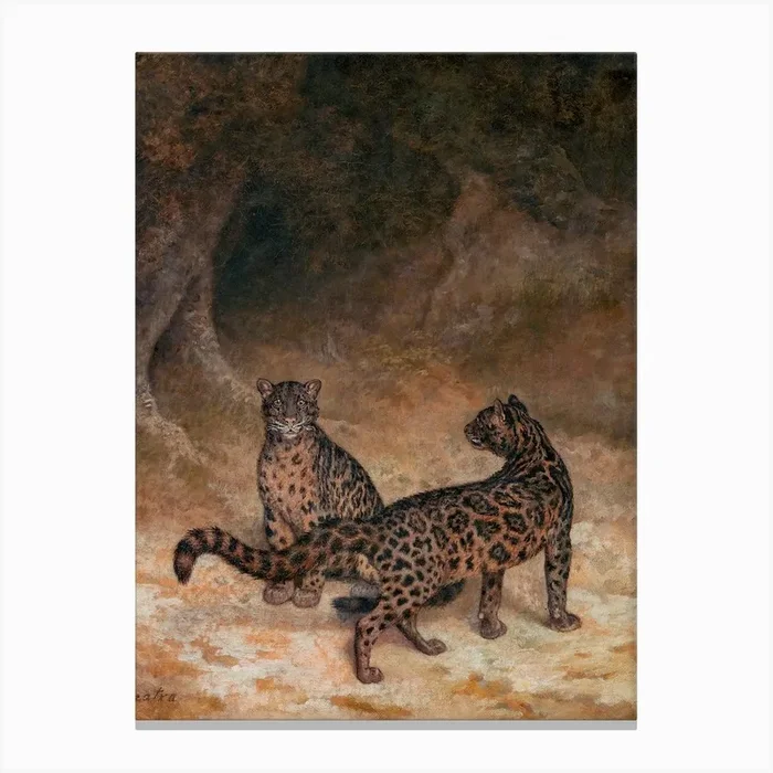 Vintage Leopards Canvas Print by Boheme At Home