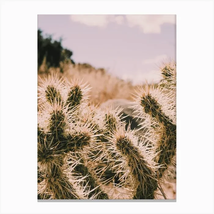 Warm Desert Cactus Canvas Print by Boheme At Home