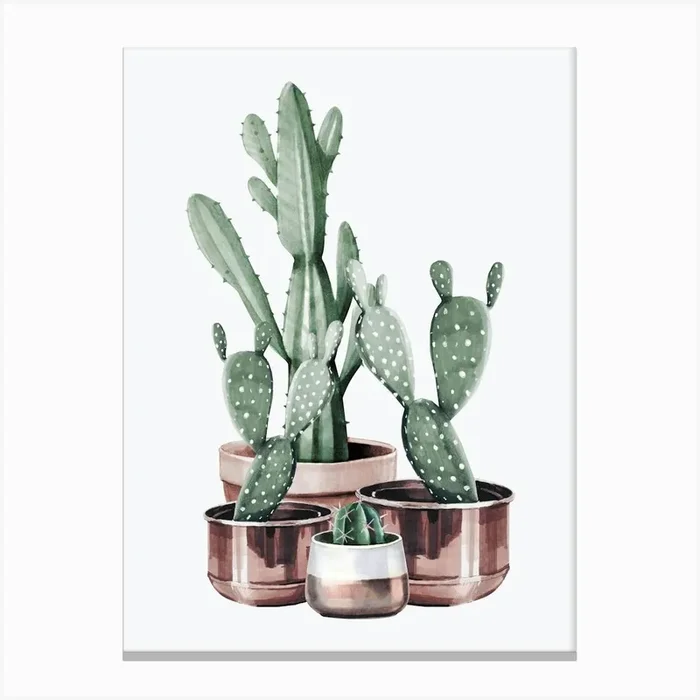 Watercolor Cactus In Rose Gold Pots Canvas PrintN by NatureMagick