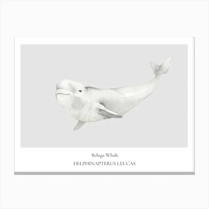 Whale Print Canvas Print by Henri Matisse Style Prints