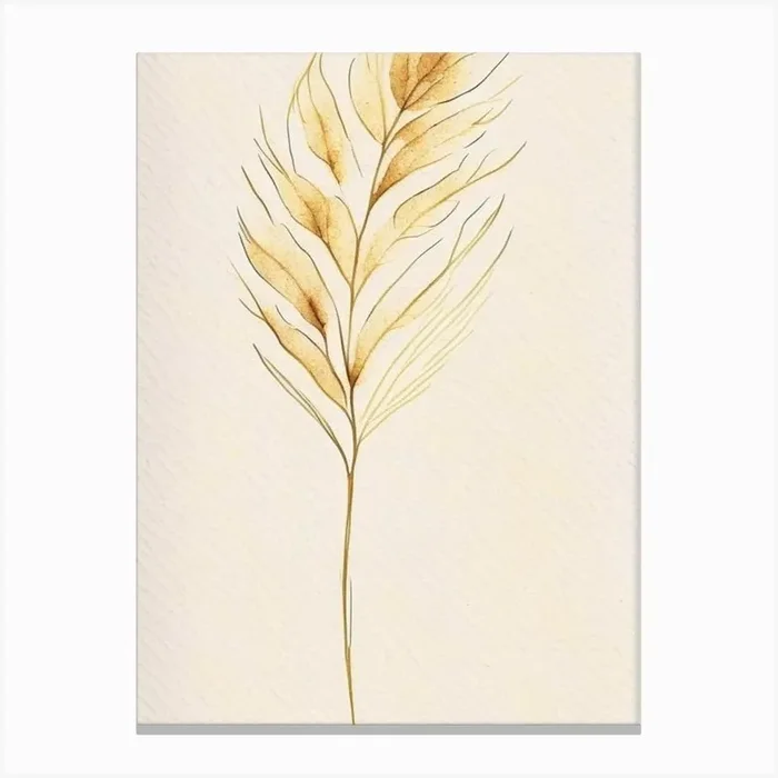 Wheat Leaf Minimalist Watercolour 2 Canvas PrintL& by Leaf & Stem Studio