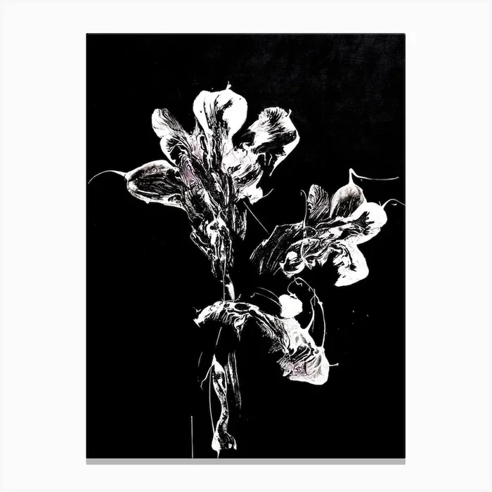 White Flower Black Background 2 Canvas Print by Françoise Wattré