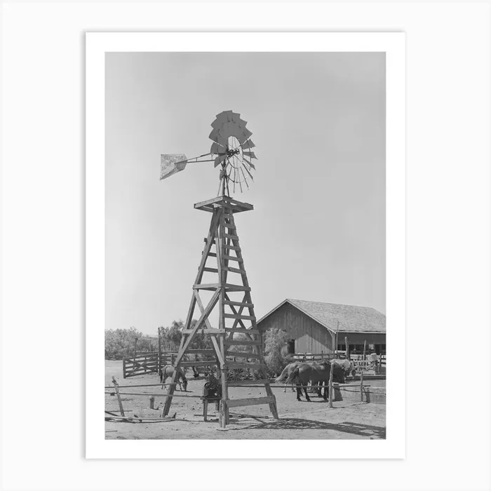 Windmill, Watering Trough And Barn On Sms Ranch Near Spur, Texas By Russell Lee Art Print by Fy! Classic Art Prints and Posters