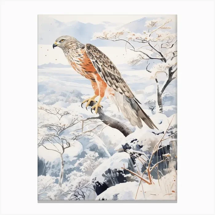 Winter Bird Painting Harrier 2 Canvas Print by Feathered Muse