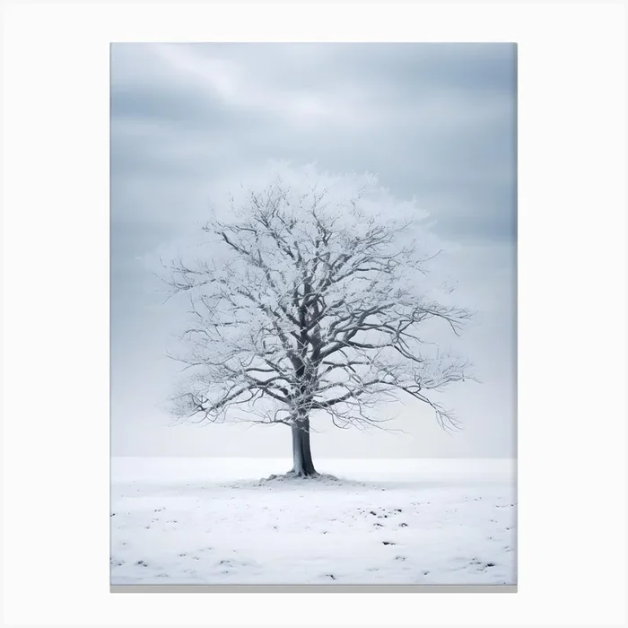 Winter Tree 1 Canvas PrintSC by S.K. Coghlan