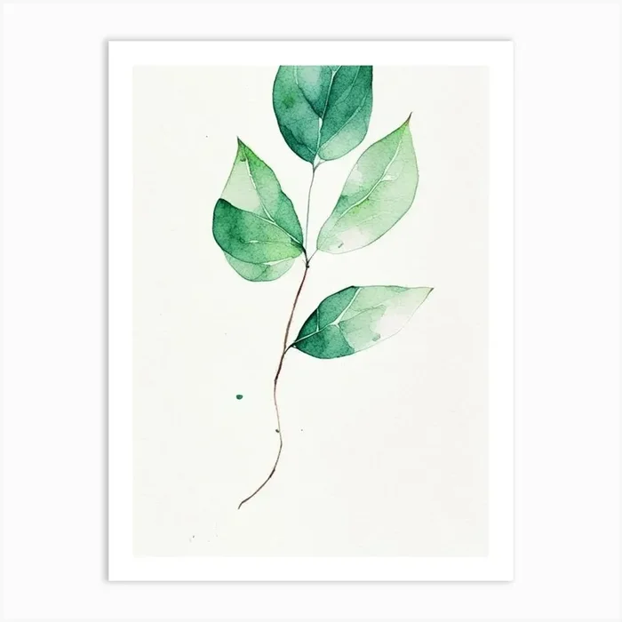 Wintergreen Leaf Minimalist Watercolour 2 Art PrintL& by Leaf & Stem Studio