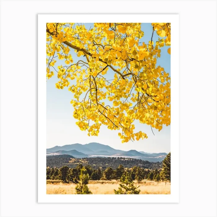 Yellow Autumn Leaves Mountain Art Print by Erica Fuchs Photography