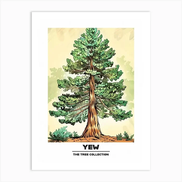 Yew Tree Storybook Illustration 3 Poster Art Print by Bough And Bloom Artistry