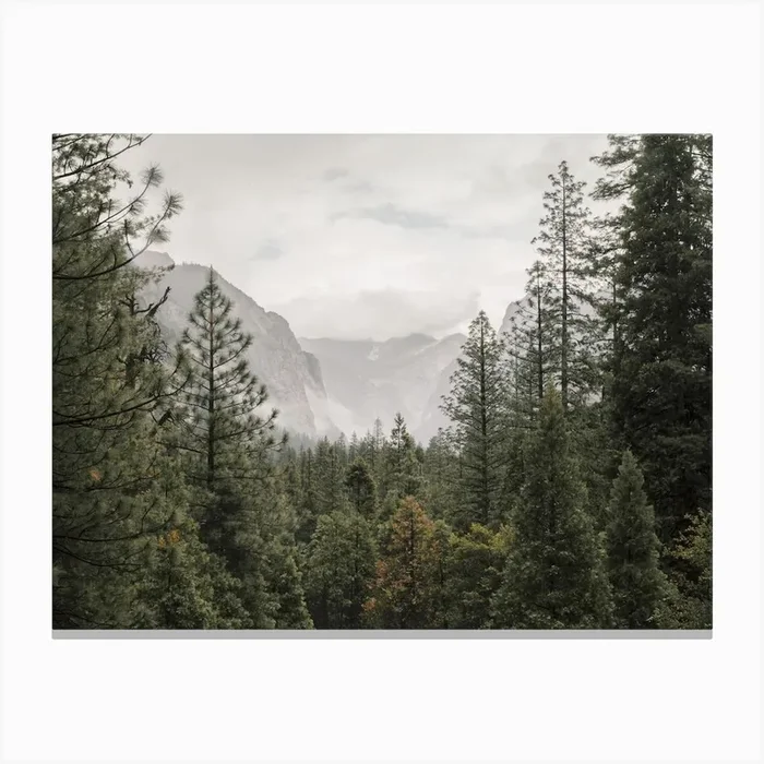 Yosemite Forest Canvas PrintIP by Inkish Prints