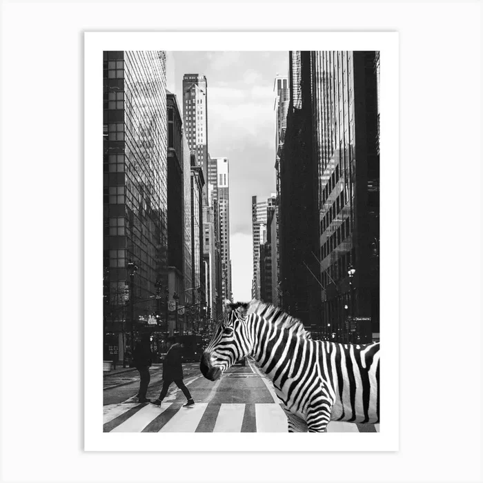 Zebra Crossing In NYC – Surreal Wildlife Photo Collage – Inspired by Inge Morath Art Print by Dagmar Pels