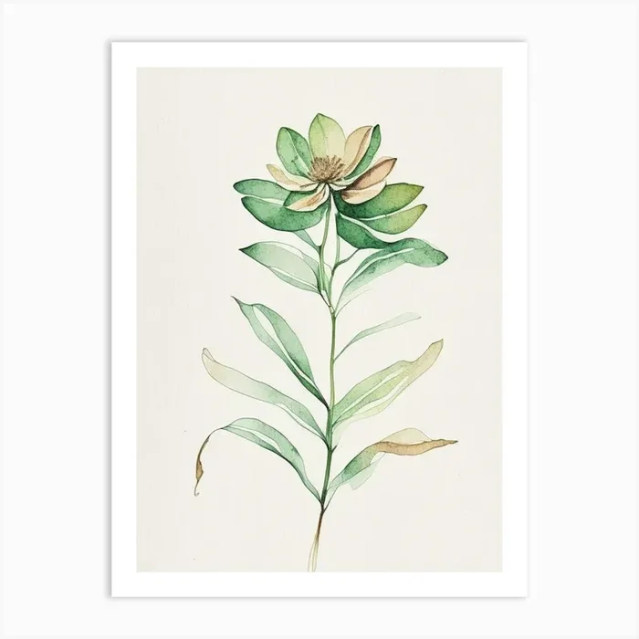 Zinnia Leaf Minimalist Watercolour 2 Art PrintL& by Leaf & Stem Studio